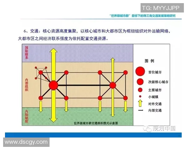 广州排球队个人能力分析与发展策略探讨