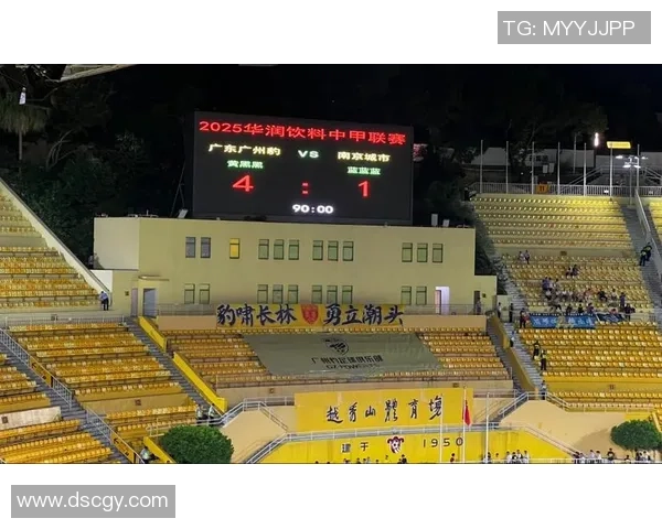 广州排球队逆袭之路：城市联赛中的奋斗与荣耀