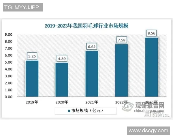 成都羽毛球队夺冠最新羽毛球意识TOP10引领风潮
