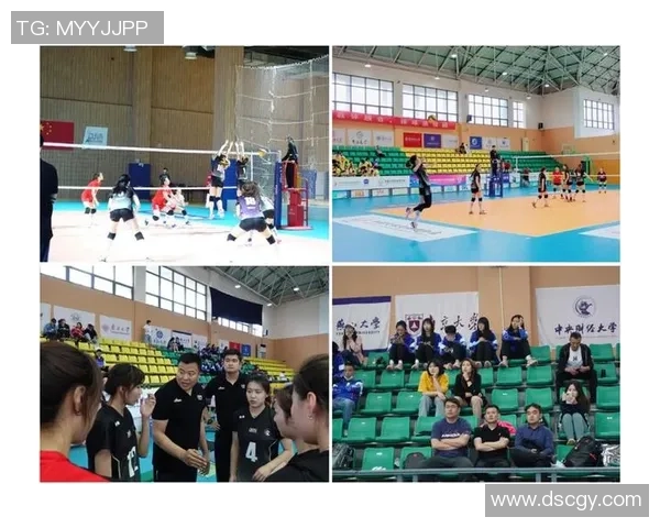 武汉排球队的节奏变革引发热议助力排球运动新发展